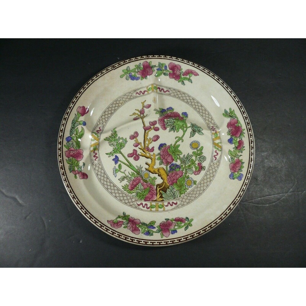 Vintage Booth's Indian Tree Divided Picnic Plate 10 5/8" - #2